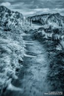 Cornwall - North and South coasts