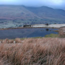 Tewet Tarn