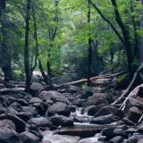 Yosemite - Bridalveil Creek