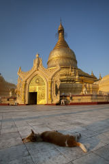 Maha-WizayaIMG 7230 E