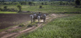 Mandalay IMG 3149 E