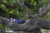 Mandalay IMG 7922 E