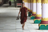 Monk IMG 7443 E