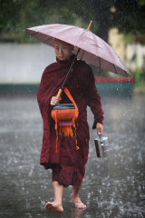 Monk IMG 7493 E