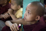 Monk IMG 8563 E