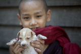 Monk IMG 9831 E