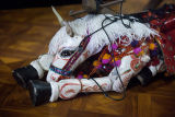 Puppet IMG 8439 E
