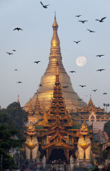 Shwedagon IMG 2010 E2