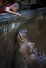 Zoo IMG 7509 E