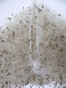 Departure gift [detail]