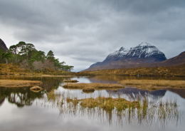 Loch Clair Laithach reeds