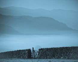 Moody valley with crow