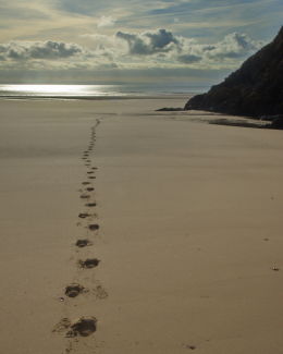 Lonely footsteps in the sand