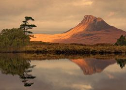 pterodactyl and Stac Polly