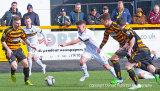 WASPS END SONS RUN