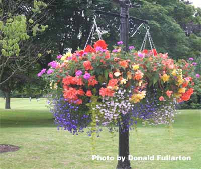 Gleneagles flower post