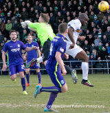 SONS STUN HIBS