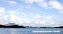 View south east from the Lodge on the Loch