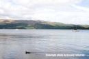 View directly east across from the Lodge on the Loch