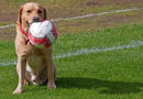 Ball control on the wing