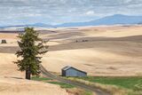 The Palouse