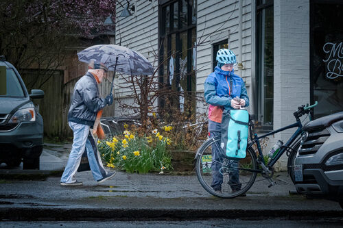 Never Mind the Rain