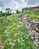 Spring in Somerset BW