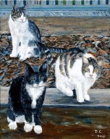 Three Cats