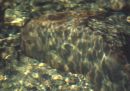Sunlight and water