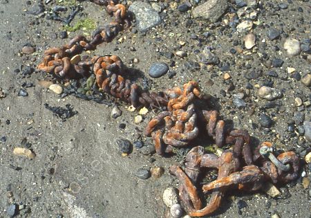 Chains