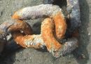 Chain