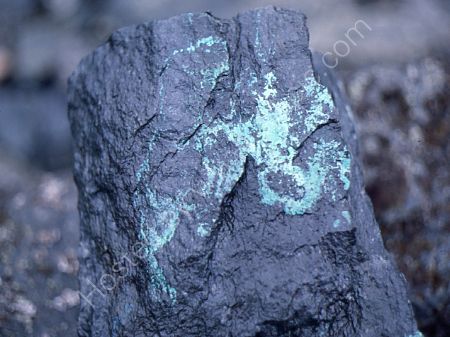 Traces of copper