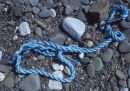 Beach still-life