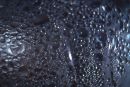 bubbles......