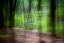 Woodscape 11-B-24