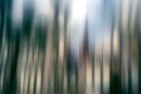 Urban impression 16 - C - 27