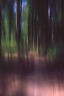 Woodscape 08-J-14