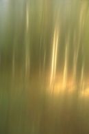 woodscape 08-L-34