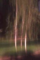 Three Birches