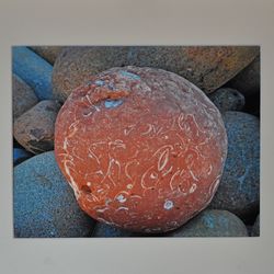 G2 COL 3 Beach Ball