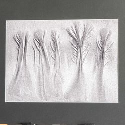 G2 MON 20 Beach Trees