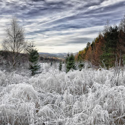 G2 PDI 2 Frozen Howe