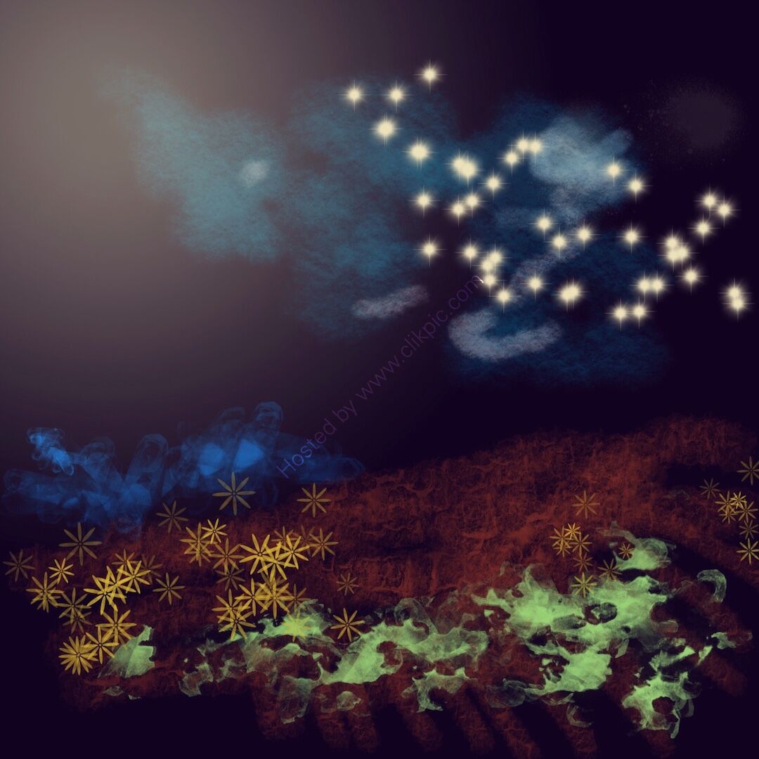 fireflies