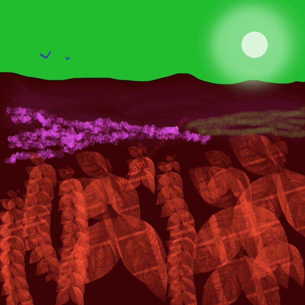 red vine digital