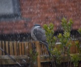 Nature and Environmental