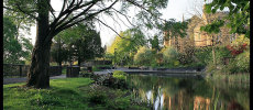Rotary Calendar Photograph 2012