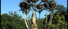 The Albert Monument The North Inch Perth
