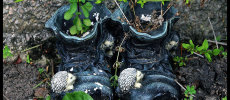 Just old boots