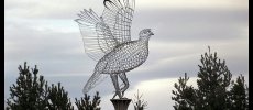 Broxden Grouse