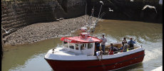 Going Fishing